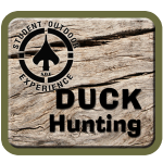 Duck Curriculum Web Icon