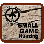 Small Game Curriculum Web Icon