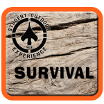 Survival Curriculum Web Icon